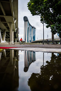 Reflection of trees in swimming pool against sky
