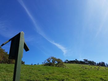 Low angle view of trees on field against blue sky