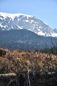 Scenic view of snowcapped mountains against sky