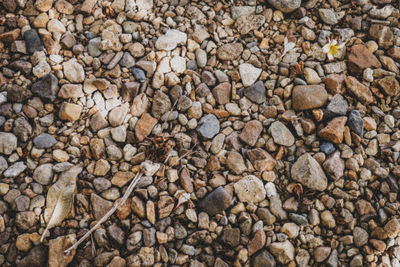 Full frame shot of stones