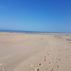 Scenic view of beach against blue sky
