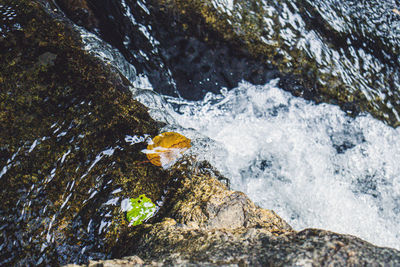 Close-up of waterfall in forest