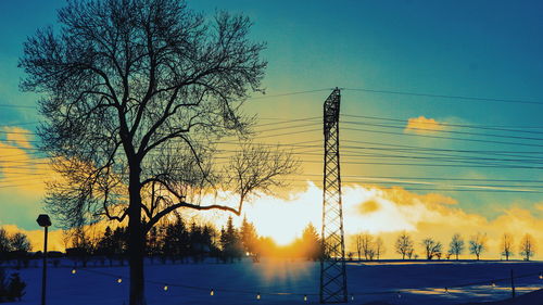 Silhouette tree and electricity pylon against sky during sunset