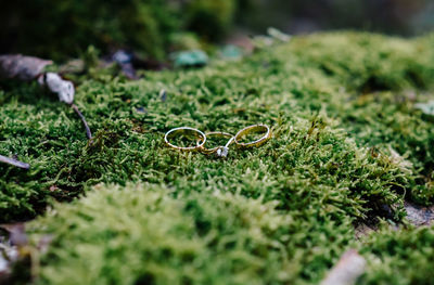 Close-up of wedding rings on grass