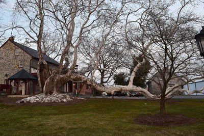 Built structure with bare trees in foreground