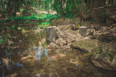 Stream flowing through rocks in forest