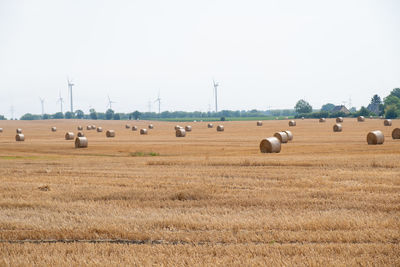 Hay bales on field against clear sky