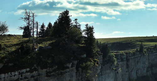 Trees on field against cloudy sky