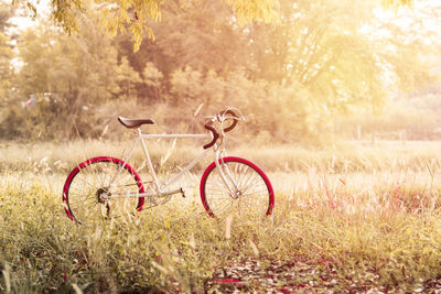 View of bicycle on field