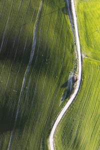 High angle view of agricultural field