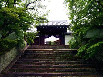 Low angle view of staircase