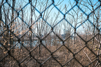 Full frame shot of chainlink fence against bare trees