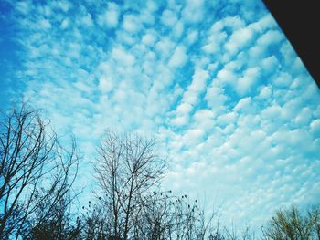 Low angle view of blue sky