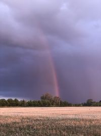 Scenic view of rainbow over field