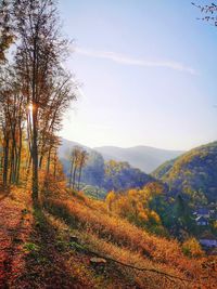 Trees on landscape against sky during autumn