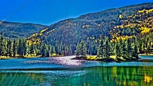 Scenic view of lake in forest against clear sky