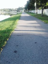 Empty road along trees