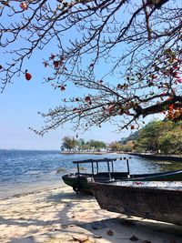 Boat moored on beach