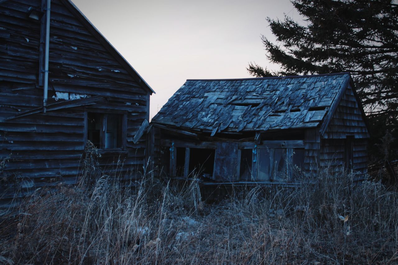 architecture, built structure, building exterior, plant, tree, sky, building, nature, house, abandoned, no people, damaged, obsolete, old, land, agricultural building, wood - material, run-down, barn, day, deterioration, outdoors, cottage, ruined