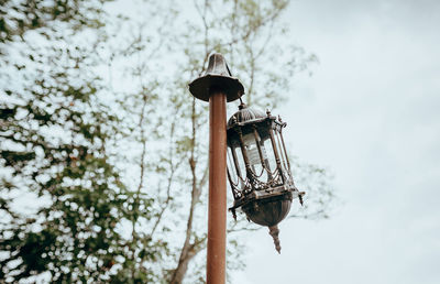 Low angle view of bird perching on street light