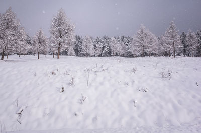 Snow covered field against sky