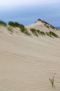 Scenic view of desert against sky