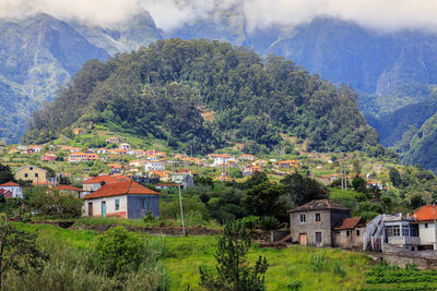 Trees and houses on mountain