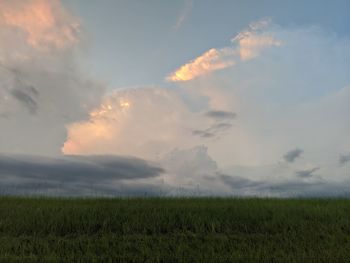 Scenic view of field against sky