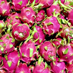 Full frame shot of pink flowers