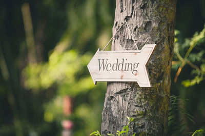 Wedding sign on tree