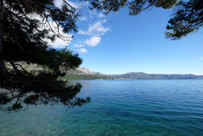 Scenic view of sea against blue sky