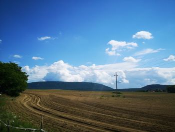 Scenic view of agricultural field against sky