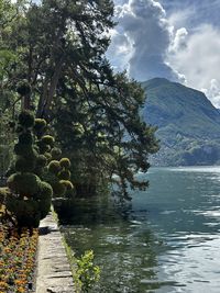 nature