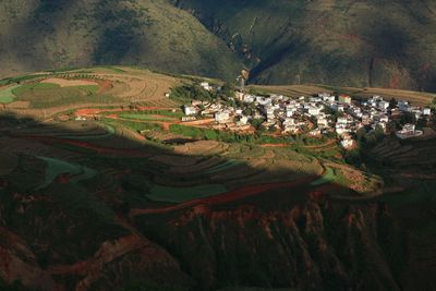 High angle view of agricultural field