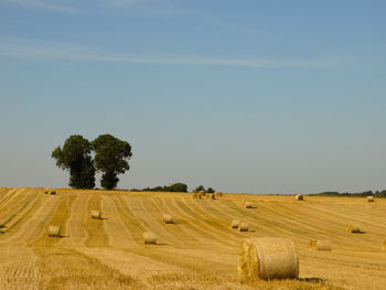 Hay bales on field against sky