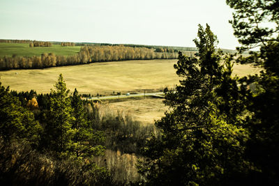 Scenic view of field against clear sky