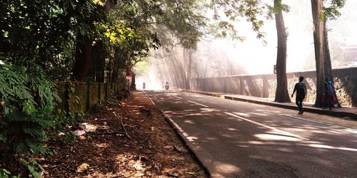 Rear view of people walking on road along trees