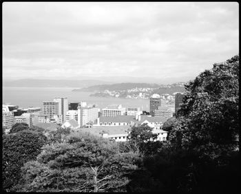 High angle view of buildings and trees against sky