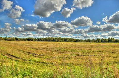 Scenic view of field against sky