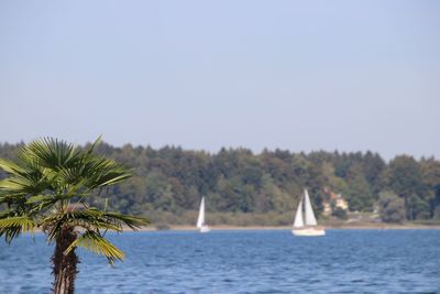 Scenic view of sea against clear sky