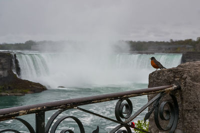 Scenic view of waterfall