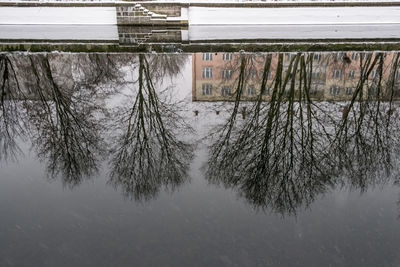 Reflection of trees in lake against sky