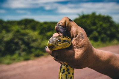 Close-up of man holding snake against sky