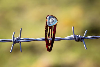 Close-up of barbed wire