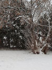 Scenic view of snow covered field