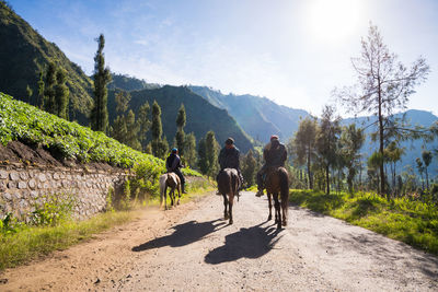 Horseman near mount penanjakan,the best views from mount bromo, east java, indonesia