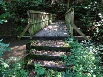 Footbridge amidst trees and plants in forest