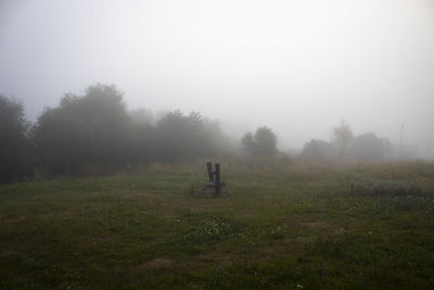 Trees on field against sky