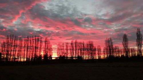 Silhouette trees on landscape against sky at sunset