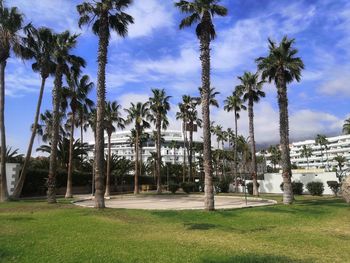 Panoramic view of coconut palm trees against sky